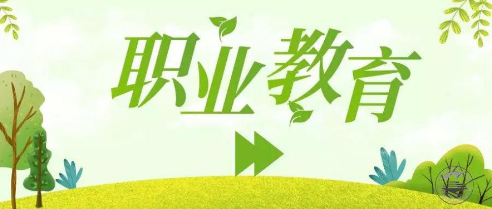 陈子季:优化类型定位 加快构建现代职业教育体系